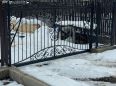 /u/objects/960x0/426e1dac64f7a597.jpg