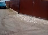 Забор