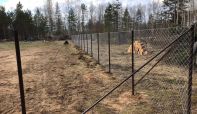 Сетка рабица